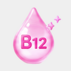 B12 Comfort Series