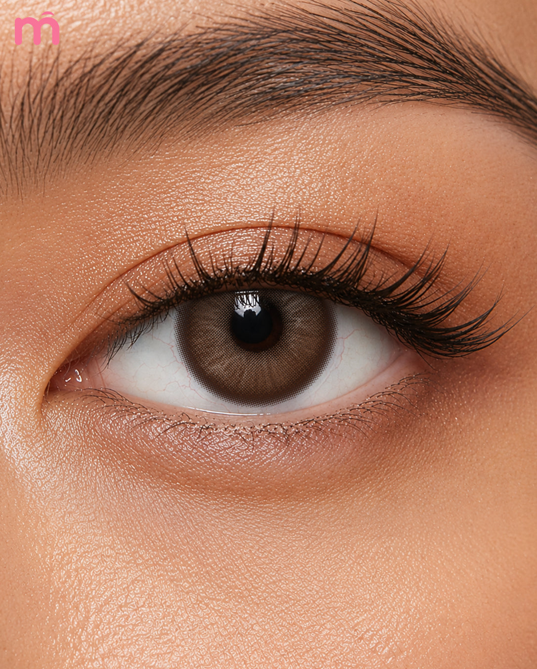 Mislens Sway Brown
