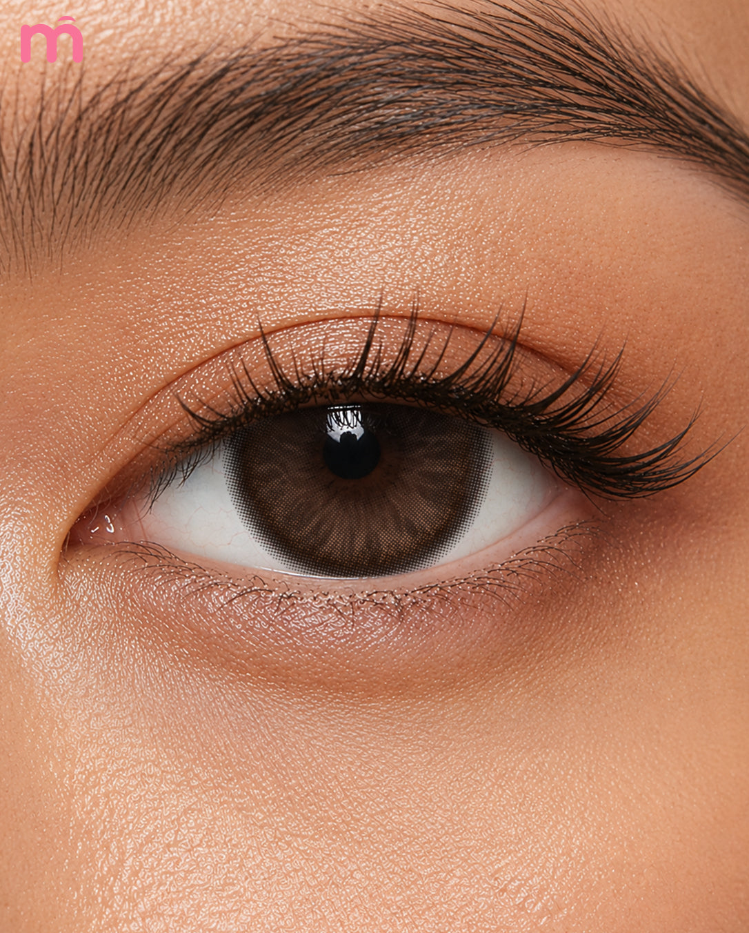 Mislens Bask Brown