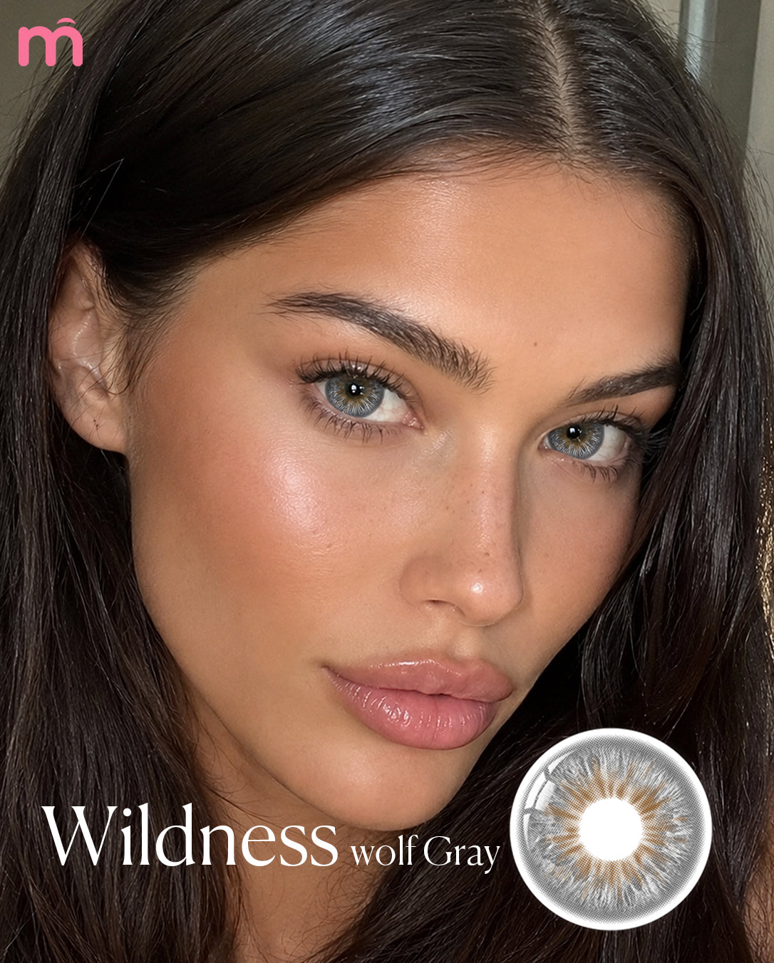 Lentilles de contact Mislens Wildness Wolf Gray