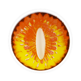 Lens-poem Dragon Maid Colored Contact Lenses