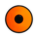 Lens-poem Maple Colored Contact Lenses