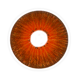 Lens-poem New York Pro N  Hazel Colored Contact Lenses