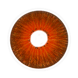 Lens-poem New York Pro N  Hazel Colored Contact Lenses