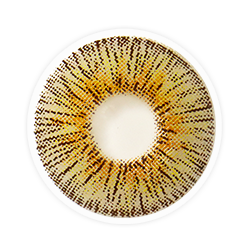 Lens-poem New New York Panama Colored Contact Lenses