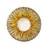 Lens-poem New New York Panama Colored Contact Lenses
