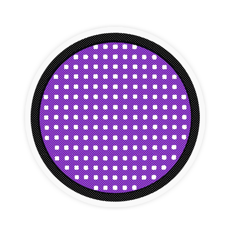 Lens-poem Mesh Purple Contact Lenses