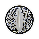 Lens-poem Lizard Eye Sliver Contact Lenses