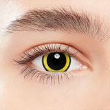 Lens-poem Nebulos Yellow Colored Contact Lenses