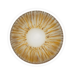 Lens-poem New York Pro Brown Colored Contact Lenses
