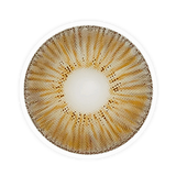 Lens-poem New York Pro Brown Colored Contact Lenses