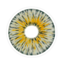 Lens-poem New York Pro Gogh Gray Colored Contact Lenses