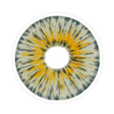 Lens-poem New York Pro Gogh Gray Colored Contact Lenses