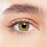 Lens-poem Himalaya Grey Colored Contact Lenses